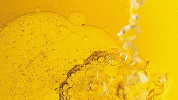 Bio oil recovery
